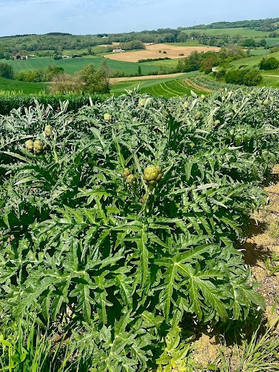 Comte Vert, Primeur Fruits et Légumes à Bellesserre