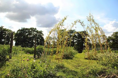 Ô Jardin des Chênes, Primeur Fruits et Légumes à Saint-Martial-sur-Isop