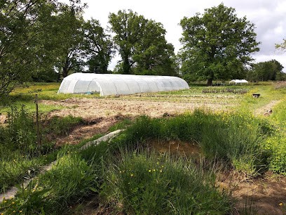 Les jardins du grand chêne, Primeur Fruits et Légumes à Charbonnières-les-Vieilles