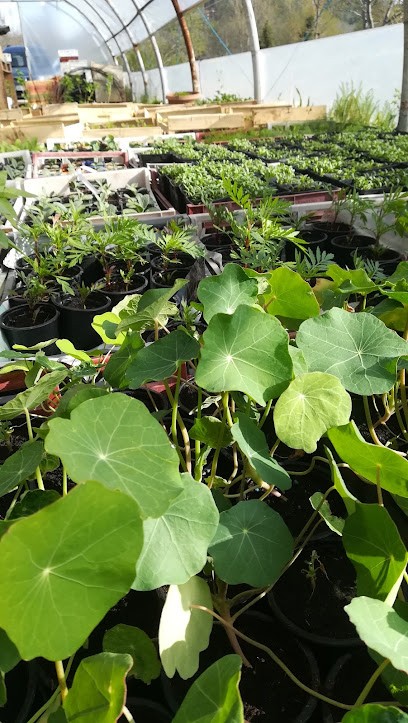 Les Paniers Sauvages, Primeur Fruits et Légumes à Thonac
