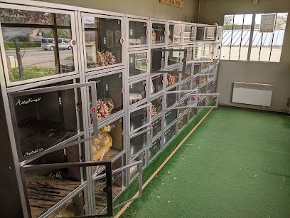 Distri Patates, Primeur Fruits et Légumes à Saint-Pierre-la-Garenne