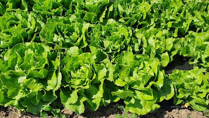 Ô Jardin de Meudenin, Primeur Fruits et Légumes à Chimilin