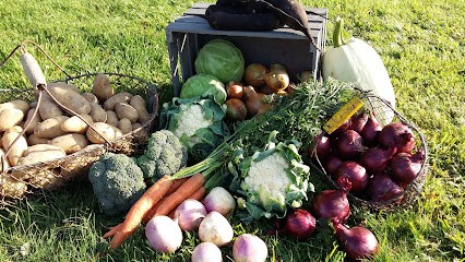 Le Bio Val de Saire, Primeur Fruits et Légumes à Anneville-en-Saire