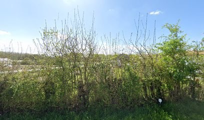 Le Maraîcher Basséen, Primeur Fruits et Légumes à Frontenay-Rohan-Rohan