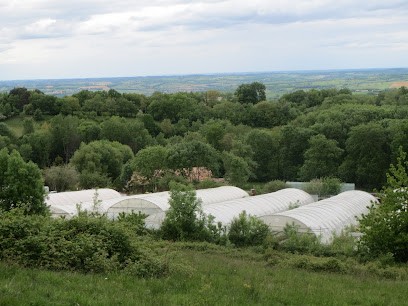 GAEC De Forgues, Primeur Fruits et Légumes à Loubens