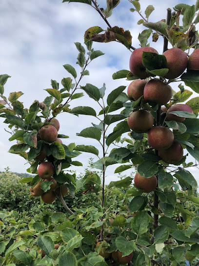 Eurl Jcg Primeur - Fruits Et Légumes au Mesnil-sous-Jumièges