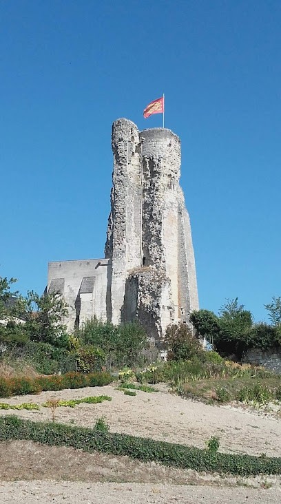 La tour clarasvalls, Primeur Fruits et Légumes à Scorbé-Clairvaux