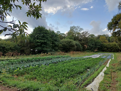 La Ferme De L'umarell, Primeur - Fruits Et Légumes à Exideuil-sur-Vienne