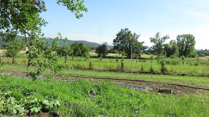 GAEC La Ferme Du Matet, Primeur Fruits et Légumes à Martres-Tolosane