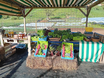 Aux Tours Du Jardin Gourmand, Primeur - Fruits Et Légumes à Vergongheon