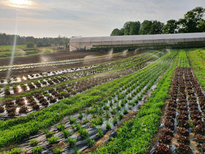 Le Potager De Rouez, Primeur - Fruits Et Légumes à Viry-Noureuil
