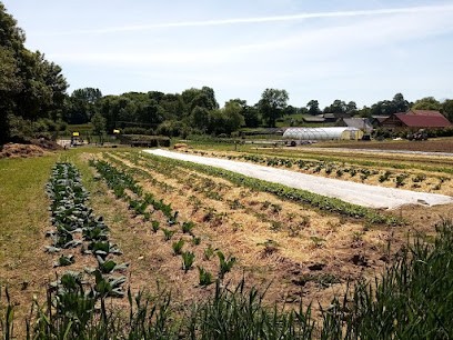 Les Légumes D'amboisne, Primeur Fruits et Légumes à Terres de Druance