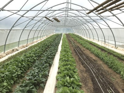 La Ferme Du Chat Botté, Primeur Fruits et Légumes à Villers-sous-Chalamont
