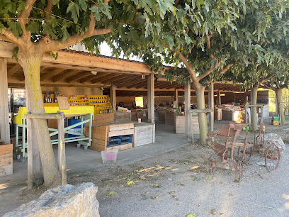 La Cueillette De Léon - Portiragnes, Primeur - Fruits Et Légumes à Portiragnes