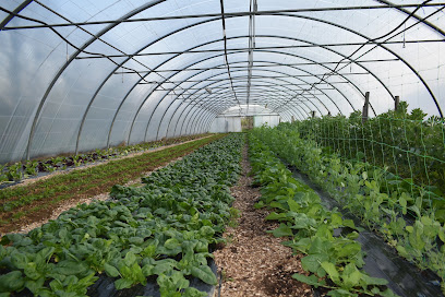 Les Jardins De La Moulde Primeur - Fruits Et Légumes au Lindois
