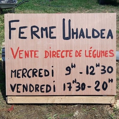 La Ferme Uhaldea, Primeur Fruits et Légumes à Saint-Pée-sur-Nivelle