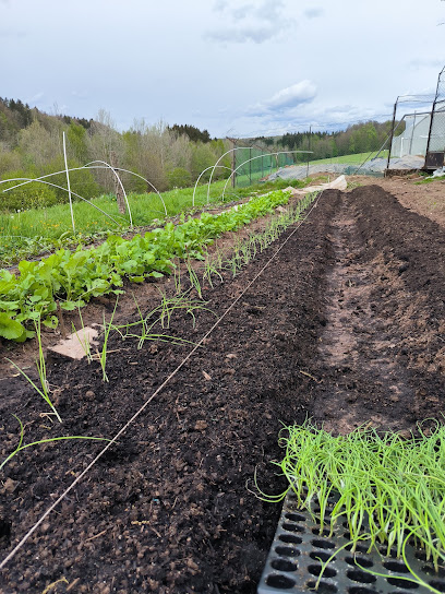 Le Potager Du Dahu Primeur - Fruits Et Légumes à Bellefontaine