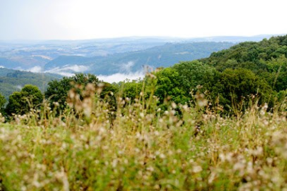 Les Jardins bio-alternatifs, Primeur Fruits et Légumes à Pierrefort