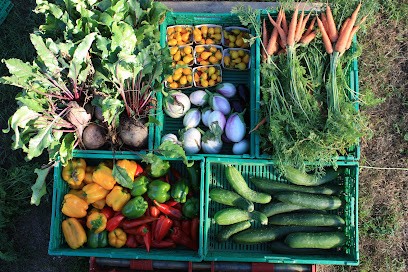 Le Jardin du Moulin des Joncs Maraîcher BIO, Primeur Fruits et Légumes à Ars-les-Favets