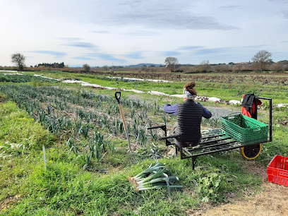 Le Champ Poussan, Primeur - Fruits Et Légumes à Béziers