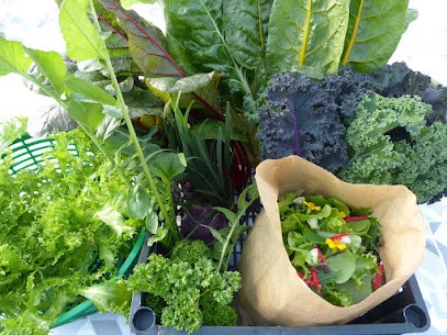 AgroSymbiose Ferme Aquaponique Grand Orb, Primeur Fruits et Légumes à Pézènes-les-Mines