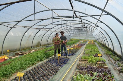 la ferme aux Prim'Verts (AB et nature et progrès), Primeur Fruits et Légumes à Damiatte