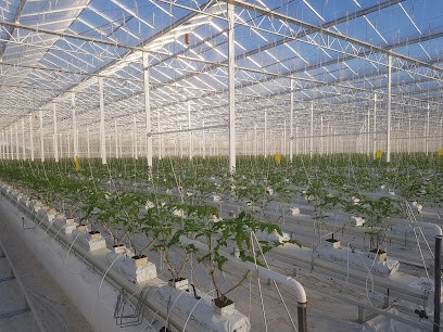 SERRES QUENTEL, Primeur Fruits et Légumes à Brest