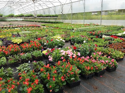 AU PANIER DU JARDIN, Primeur Fruits et Légumes à Chevannes