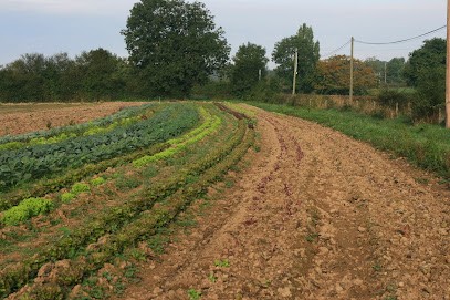 Antoine Pigeat Les Jardins De Saphir, Primeur Fruits et Légumes à Artaix