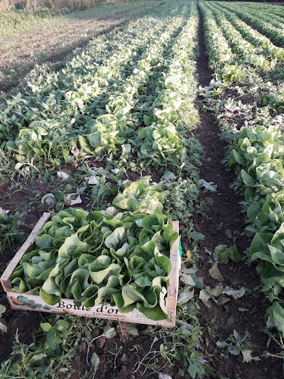 Doinard Maraichage, Primeur Fruits et Légumes à Éterville