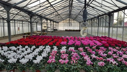 Combes Et Magnaval, Primeur Fruits et Légumes à Saïx