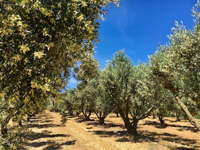 Domaine De La Pierre Plantée, Primeur Fruits et Légumes à Sainte-Maxime