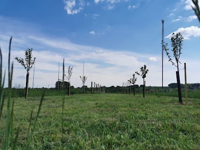Les Jardins Du Wasserloch, Primeur Fruits et Légumes à Rothbach