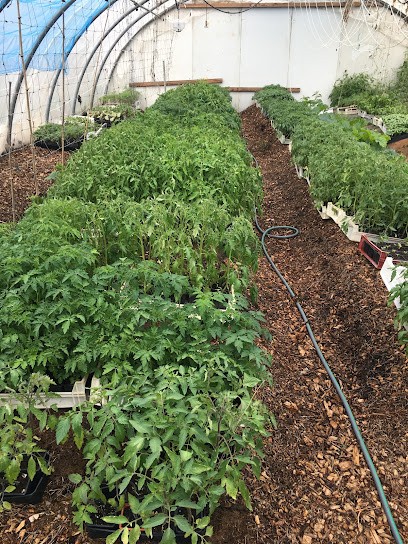 Ô champ des saisons - Maxime HORTONEDA, Primeur Fruits et Légumes à Frouzins