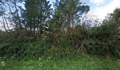 Coopérative Le Lac, Primeur Fruits et Légumes à Roiffé