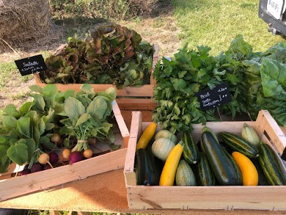 Thair'&Légumes, Primeur Fruits et Légumes à Thairé