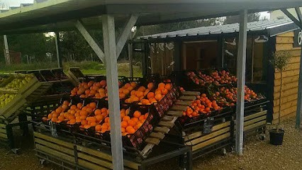 Chez Antoinette, Primeur Fruits et Légumes à Ribaute-les-Tavernes