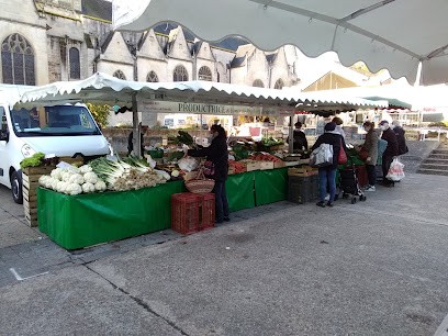 Earl Maraichères Roy, Primeur Fruits et Légumes à Saint Martin la Pallu