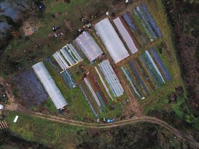 GRAINE DE JARDIN, Primeur Fruits et Légumes à Carcès