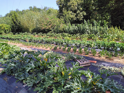 Les Cagettes De La Sonnette, Primeur - Fruits Et Légumes à Ventouse