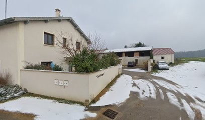 Le Pied Vert (SCEA), Primeur Fruits et Légumes à Montluel