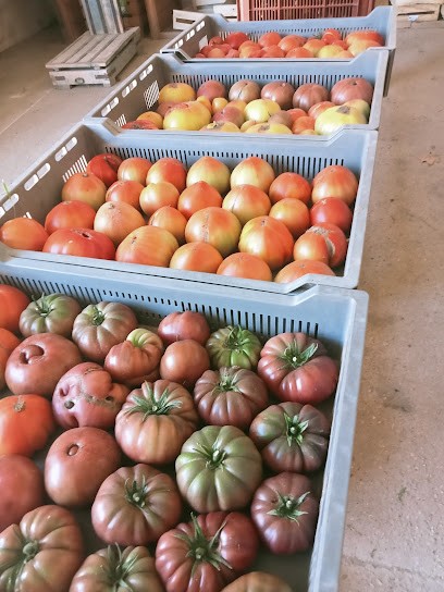 EARL Saveurs bio, Primeur Fruits et Légumes à Belvézet