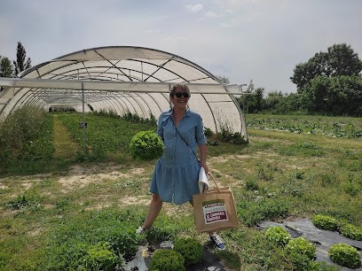 Midi Cueillette, Primeur Fruits et Légumes à Portet-sur-Garonne