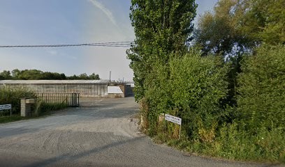 GAEC CLAIR DE LUNE - PLANTS MARAÎCHERS, Primeur Fruits et Légumes à Soullans