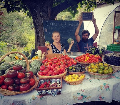 GRAINES DE BUISSON, Primeur Fruits et Légumes à Plats