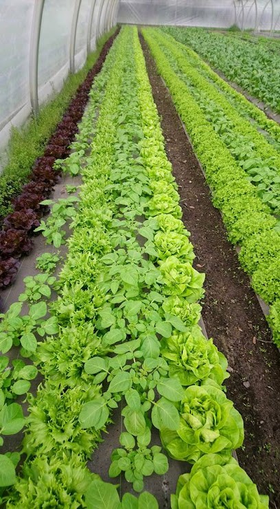 Au Jardin Des Oules, Primeur Fruits et Légumes à Saint-Bonnet-les-Oules