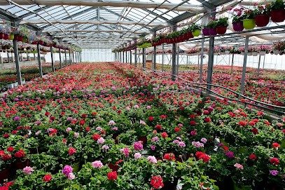 BARBAUX HORTICULTURE, Primeur Fruits et Légumes à Molompize
