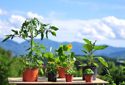 Ferme maraichère, légumes et plants biologiques - AMAP du Chlambio, Primeur Fruits et Légumes à La Freissinouse