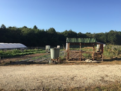 CAP Légumes, Primeur Fruits et Légumes à Montendre