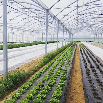 Les Jardins de la Rue - Légumes bio, Primeur Fruits et Légumes à Bretoncelles